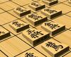 Kanazawa Shogi 3D 20 тщательно отобранных стратегий Новая версия упаковки - -