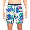 Nike Sports Shorts Men's Multicolor Moderate CZ9201-008
