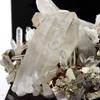 Quartz, Pyrite, Baryte, Siderite 276.8 Carats