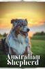 Книга Australian Shepherd : Dog Breed Overview and Guide