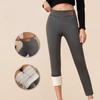 Fleece Lined Thick Sherpa Leggings Women Outdoor Wear Ankle Pencil Pants High Waist Slim Fit Warm Trousers