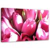 Canvas Print Tulips Pink Flower