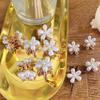 6Pcs  Pearl Hair Clip  Mini Hair Claw Crab Women Sweet Cute Elegant Hairpin Hairclips Styling Women Hair Accessories