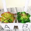 1Pc Plastic Fake Artificial Succulents Plant Bonsai Garden Home Office Decor