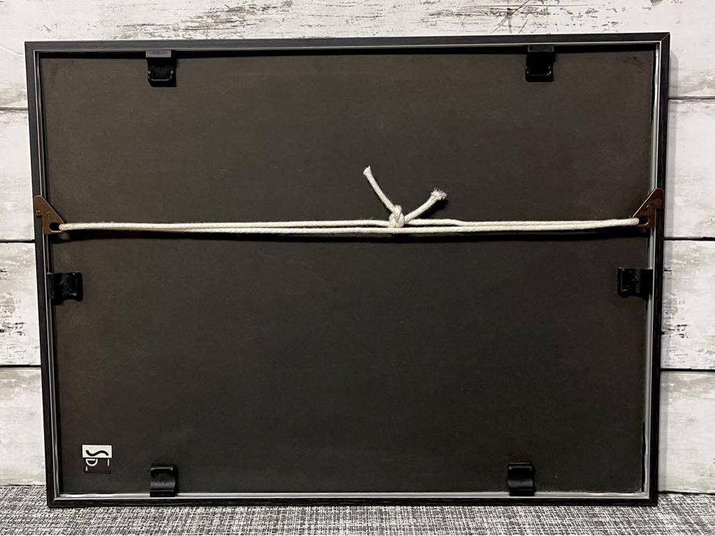 [USED] Tetsuro Sawada's collection of works, framed, frame size 41 x 31 cm