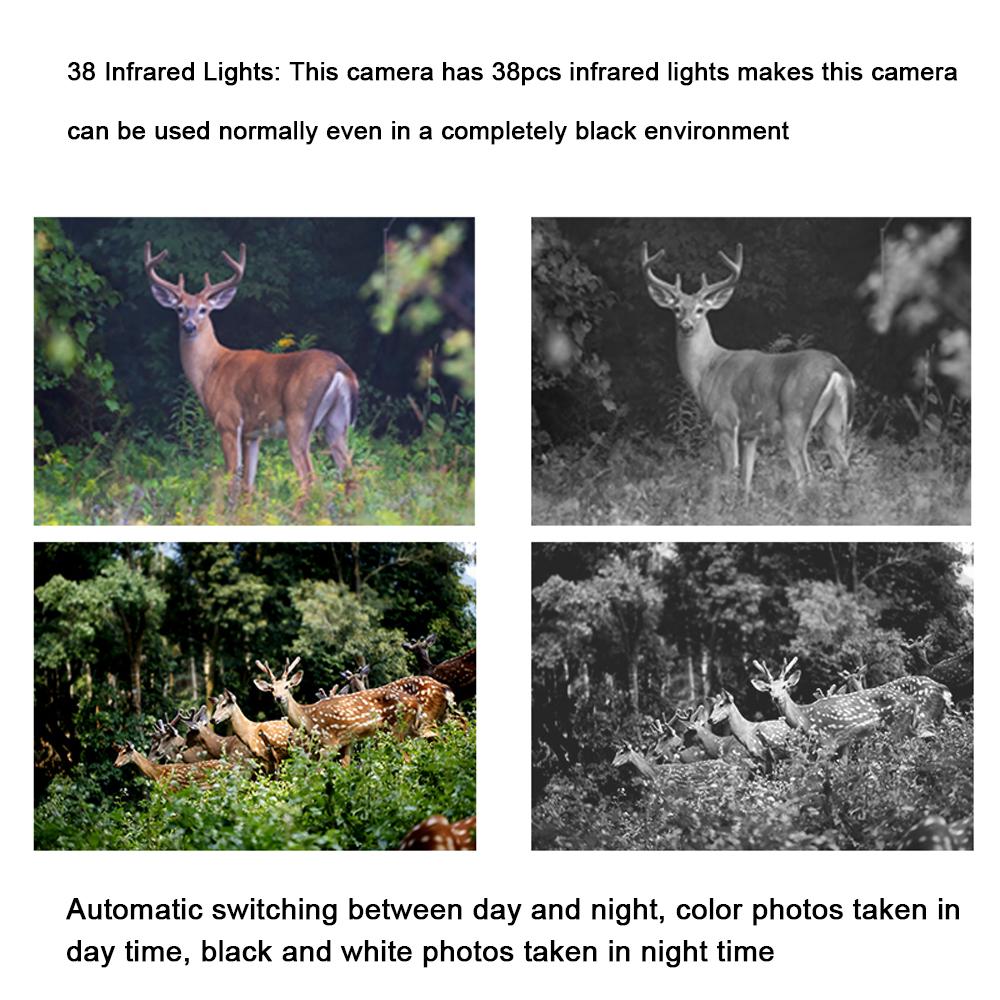 16MP 1080P Портативная камера для фотосъемки днем ​​и ночью, видеосъемка, многофункциональная камера для охоты на открытом воздухе