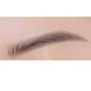 Etude Natural Brow Auto Pencil 0.18g + Refill 2p Set, No. 2 Stone Gray, 1 Set