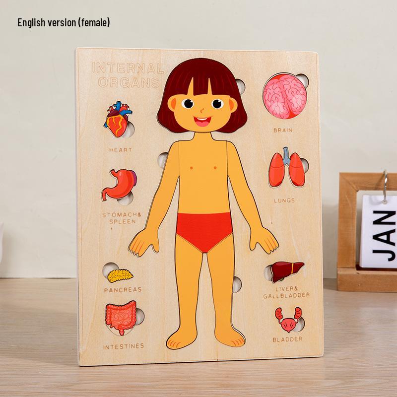 Wooden Human Anatomy Puzzle for Infants and Toddlers - Educational Toy for Self-Awareness and Science Learning