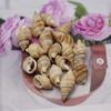 30/50 шт., летний морской стиль, натуральная ракушка, украшение для аквариума, растений в горшках и многого другого, праздничная коллекция домашнего декора
