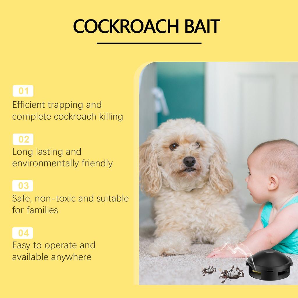 Убить тараканов на кухне домашняя кухня общежитие таракан не жалит ящик для тараканов