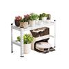 Iron Art 2-Tier Flower Plant Stand and Storage Shelf
