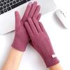 Gloves Autumn and Winter Women's New Touch Screen Plus Velvet Warm Outdoor Sports Cycling Windproof Driving Velvet Gloves