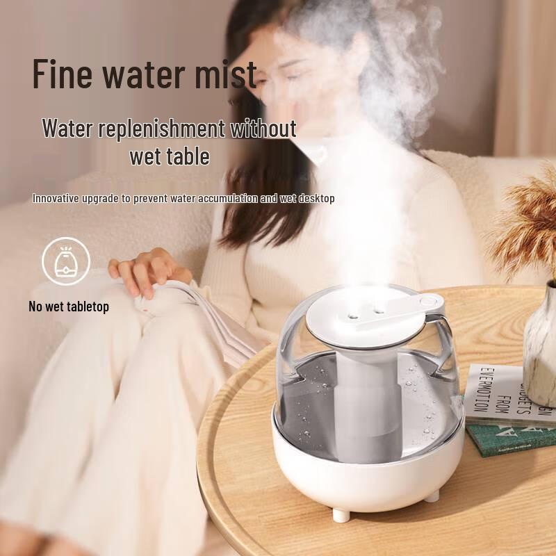 Dual Spray Portable Humidifier