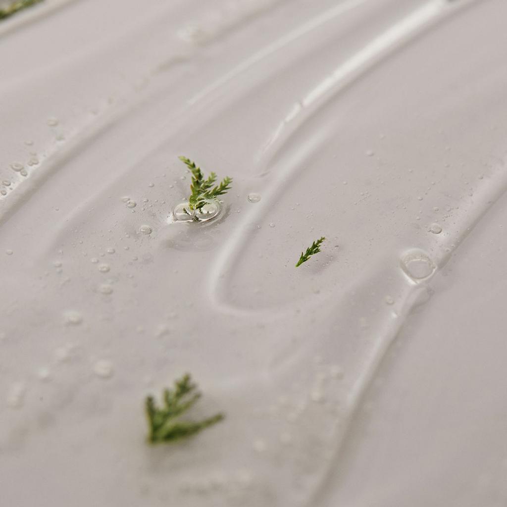 Botanic Repair Shampoo