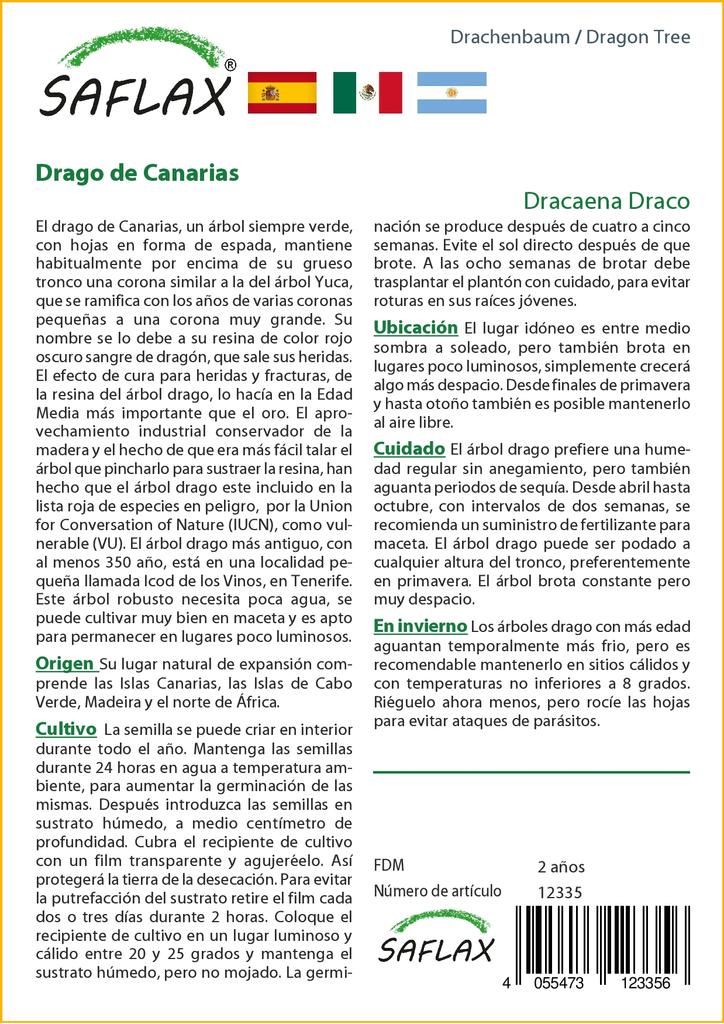 SAFLAX Драконово дерево - 5 семян - Dracaena Draco