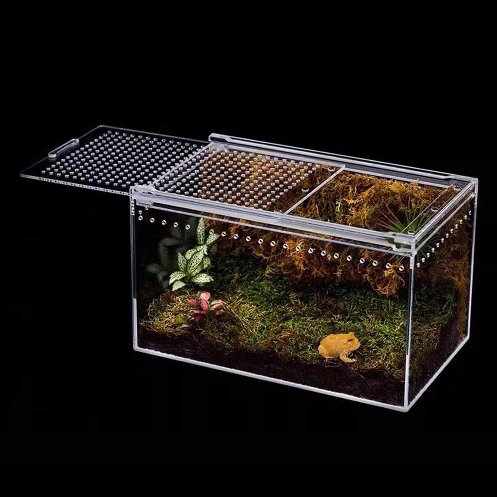 Portable Reptile Habitat Box for Chameleons And Snakes