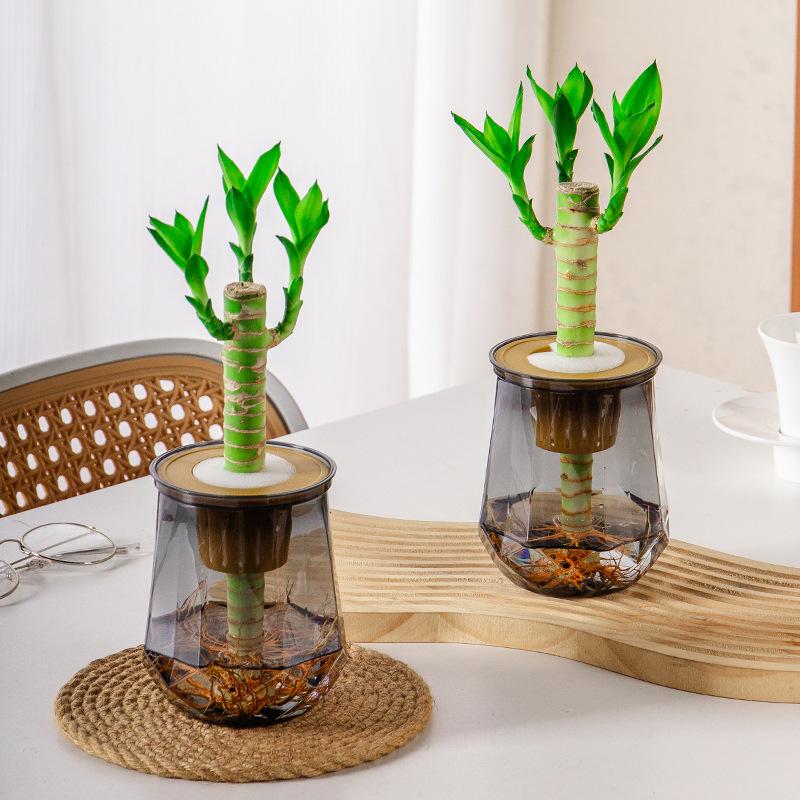 Мини-горшок для цветов с самополивом, аквариум, прозрачные пластиковые горшки для растений, самополивной горшок для растений, ваза для украшения дома