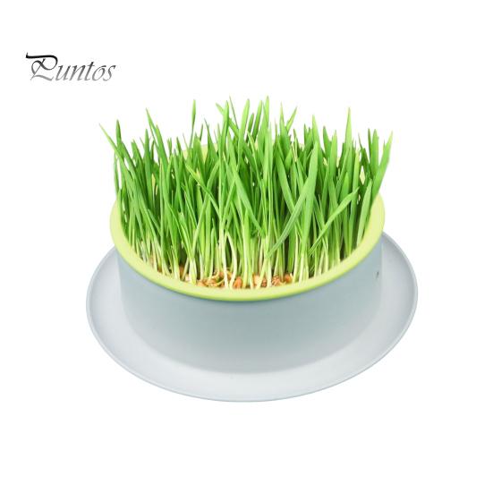 Ящик для посадки травы Многоразовый гидропонный ящик для посадки травы для кошек Прочный удобный ящик для выращивания травы для дома