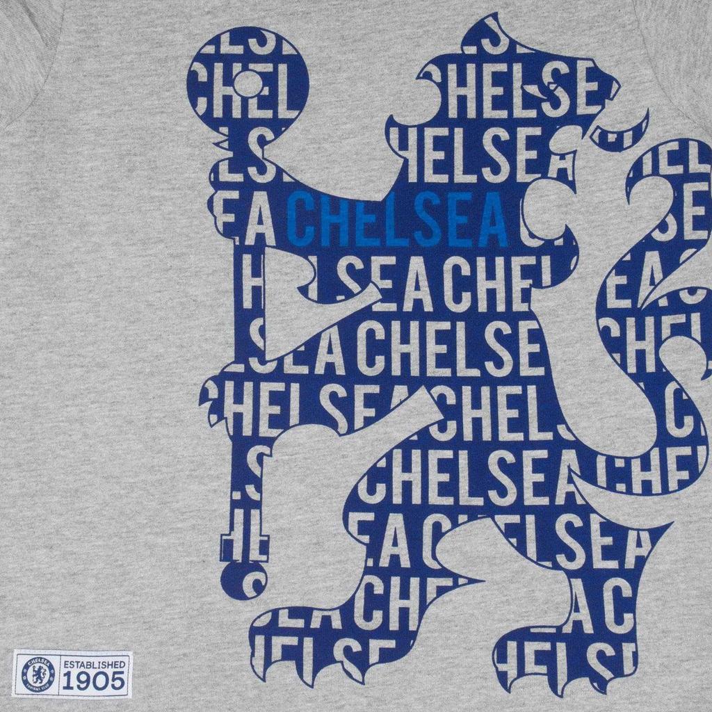 Chelsea FC Boys Lion Crest T-Shirt