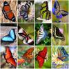 Diy Бабочка 5D алмазная живопись полный круглый дрель цветы пейзаж наборы для вышивки крестом Алмазная мозаика вышивка домашний декор