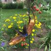 Banana Hanger for Butterflies Outdoor Banana Hammock Butterfly Feeder Metal Banana Holder for Attracting Butterflies