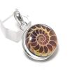 Натуральный ископаемый аммонит драгоценный камень 925 стерлинговое серебро ювелирный кулон 1,58" r9R49