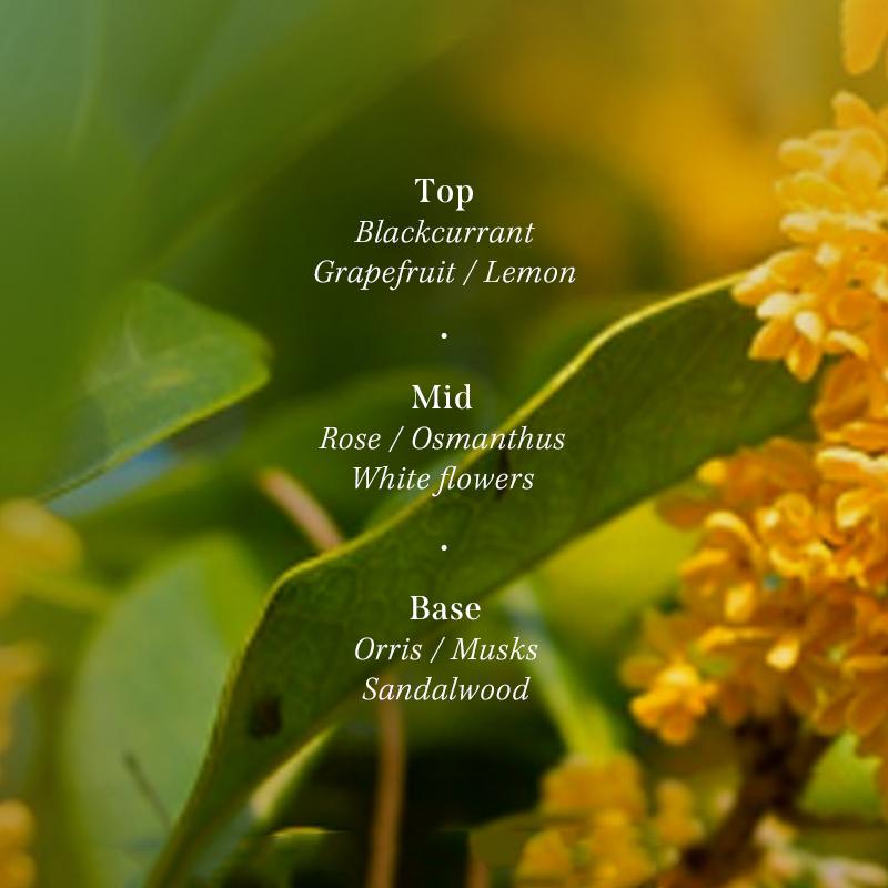 [Lador] Парфюмированный набор для ухода за волосами 380 мл