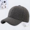 Autumn and Winter Lamb Wool Baseball Cap Warm Fashion Light Board Cap Embroidery Letter Hat