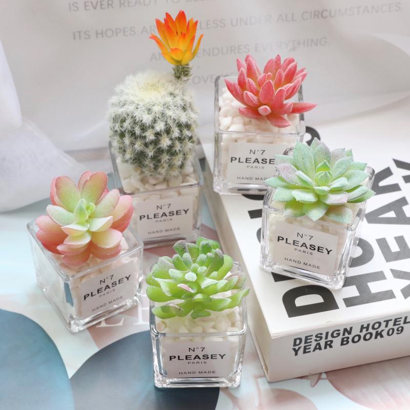Desktop Bookshelf Decor: Faux Succulent Cactus with Dried Flowers