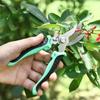 Профессиональные острые секаторы Садовые ножницы Ножницы для обрезки деревьев и цветов Триммеры Секаторы Инструмент для сбора фруктов в саду