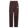 Climacool Sports Lifestyle Series Sun Protection UPF50+ Cargo Multi-Pocket Loose Casual Pants Men Pants Dark-Gray Brown KA9313