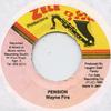 7inch Record WAYNE FIRE - Pention None Zele 1990 Jamaica Reggae, Ska & Dub Used