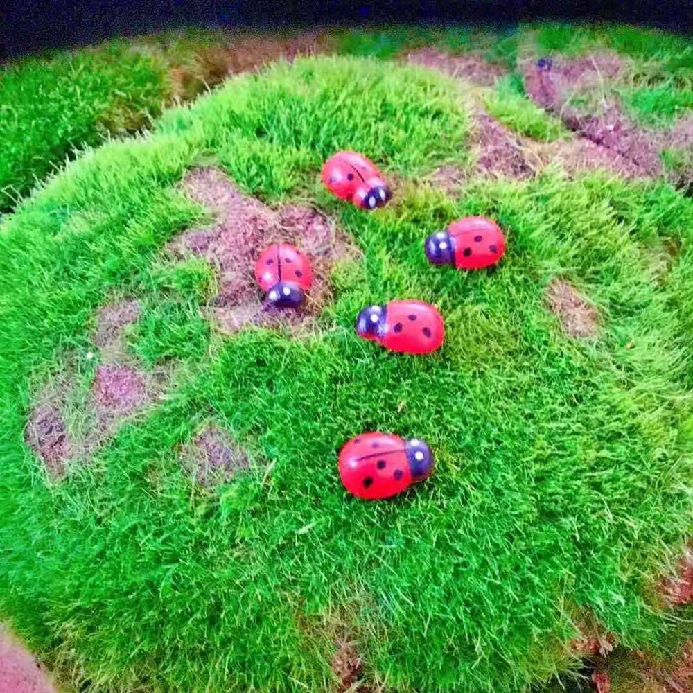 5pcs Handmade Resin Ladybug DIY Ladybug Miniatures Cartoon Memorial Gift