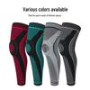 Professional Sports Spring Knee Brace (Pair)