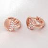 14K Cubic Zirconia Earring Ring Piercing Gold Needle Rose Gold Daily