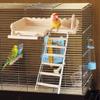 Bird Perch Platform with Ladder Wooden Playing Gyms Birdcage Stand Toys Sturdy Parrot