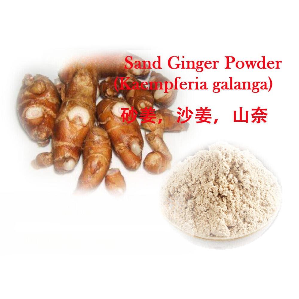 100% Pure Guangdong Sand Ginger Powder Strong Flavor Kaempferia Galanga