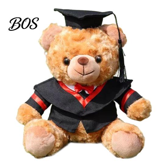 Luxury Gift Packaging Bear Personalized Graduation Gifts 2026 for Her, Cute Teddy with Embroidered Gown Award And Cap, Soft Plush Mascot College High