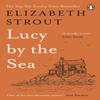 Lucy by the Sea by Elizabeth Strout Paperback Book 9780241607008