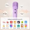 Портативный Bluetooth-динамик для караоке Divoom SongBird-SE, набор, штекер CN (адаптер в комплекте)