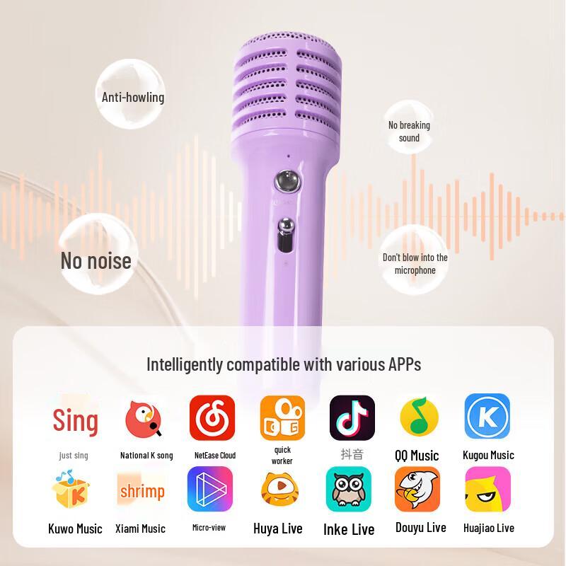 Портативный Bluetooth-динамик для караоке Divoom SongBird-SE, набор, штекер CN (адаптер в комплекте)