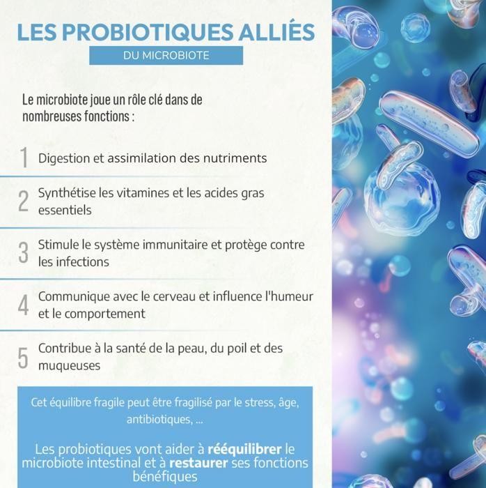 Пробиотики в порошке - НЕОВЕТО - 54 г - Собака &; Чат - Био - Оптимизированная кишечная гигиена