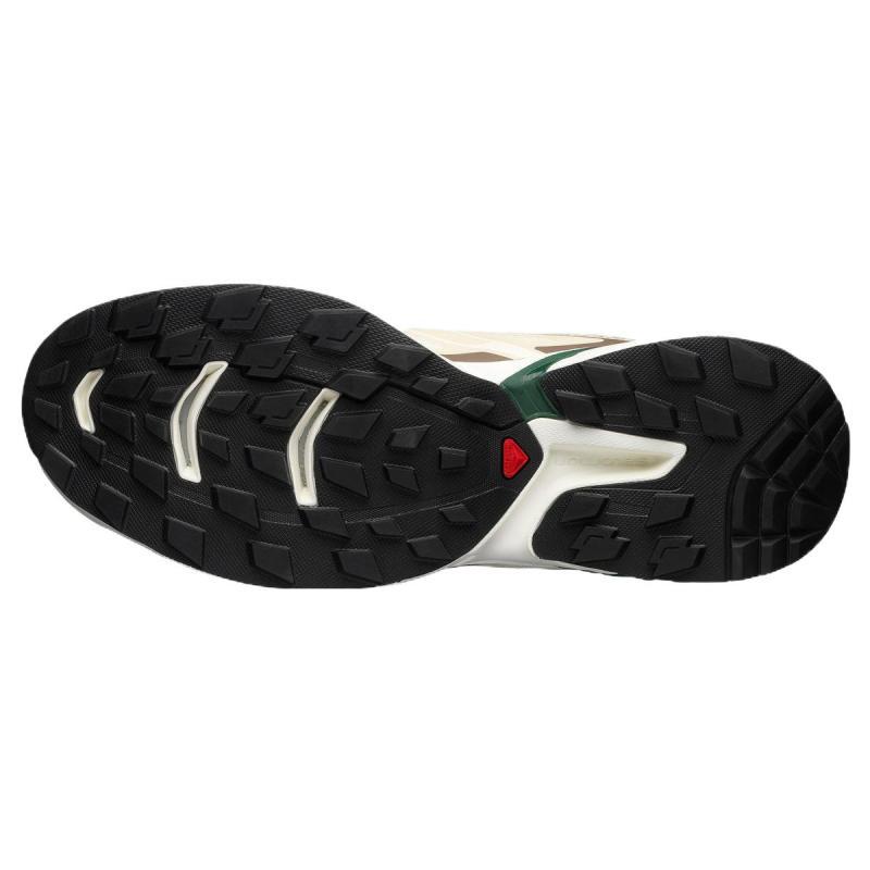 SALOMON XT Wings 2 'Vanilla Ice Falcon' Sneakers 472878