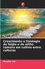 Книга Crescimento E Fisiologia Do Feijao E Do Milho Comuns Em Cultivo Entre Culturas