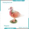 Pvc Bird Magpie Pigeon Model Set With Realistic Design For Nature Decor And Collectors