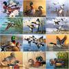 5D DIY Animal Diamond Painting Mallard Diamond Embroidery Scenery Cross Stitch Crafts Full Round Drill Home Decor Gift