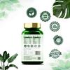 SEARCH WELLNESS Пищеварение 60 Капсул Упаковка 1 | Натуральные и Травяные Капсулы Для Улучшения Пищеварения и Здоровья Кишечника | Аюрведическое Средство