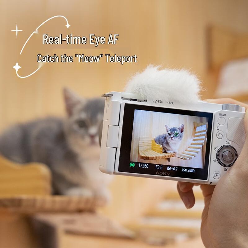 Sony ZV-E10L Vlog Camera with 16-50mm Lens (CN version)