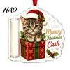 Christmas Tree Decoration Cash Gift Holder Ornament, Cute Dog Clear Money for Holiday Ornament Gift, Xmas Hanging Party Supplies Favors