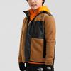 THE NORTH FACE Velvet feel Coat Brown Kids' (Unisex) Kids' Fleece Jackets NF0A7WOT 6R1